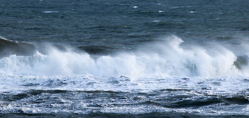 Ocean waves near the shore