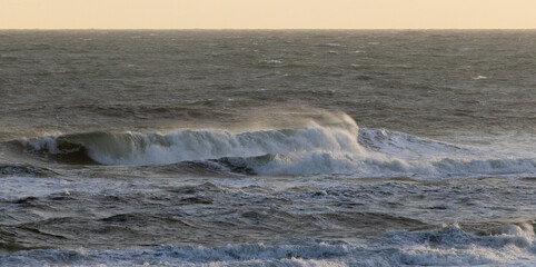 Ocean waves near the shore
