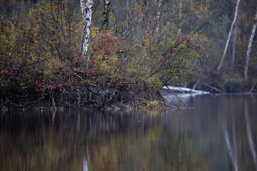 Moody autumn nature at the river of Isar in Bavaria Germany
