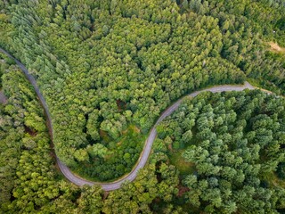 a curved road winding through the woods with an arrow shape in it