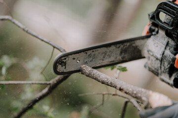 Man cutting a tree with a circular saw