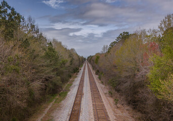 Scenic view of a lonely railroad track lined with green trees
