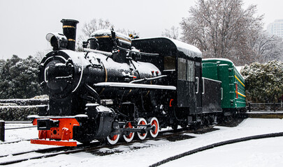 Train parked on snowy tracks by bushes in Wuhan, China