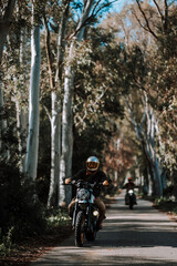 a person riding a motorcycle down a tree lined street during the day
