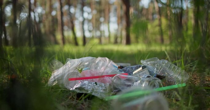Someone throws trash into a pile of plastic and glass waste on the grass in the forest