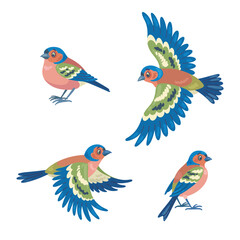 Set of four finch birds flying and sitting. Isolated on white background. Vector flat illustration.