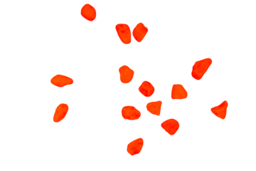 Valentine day background with red hearts isolated on a transparent background