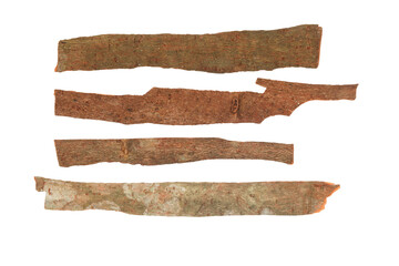 Zimtrinde isolated on a transparent background