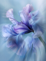 Fototapeta premium still life photography, a flower in movement with low shutter speed, blurred lines, grainy, pastel blue white and lavender colours, motion blur