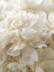 B&iacute;g Bold Flowers as Background 