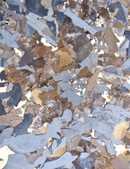 Abstract sea shore camouflage texture.   Mixed brown, gray and blue lime plates. Selective focus