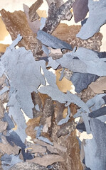 Abstract sea shore camouflage texture.   Mixed brown, gray and blue lime plates. Selective focus