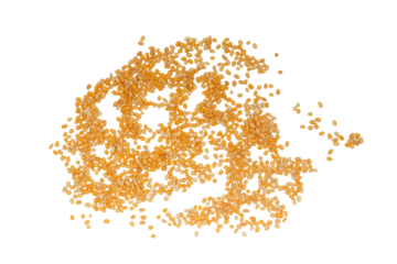 Corn Seeds isolated on a transparent background