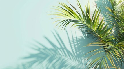 Green palm leaves casting shadows on light blue wall