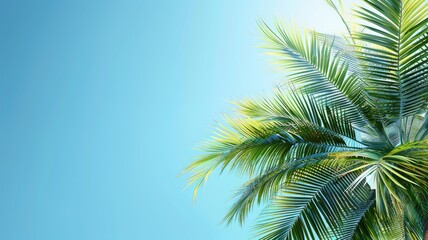 Naklejka premium Palm tree fronds against bright blue sky