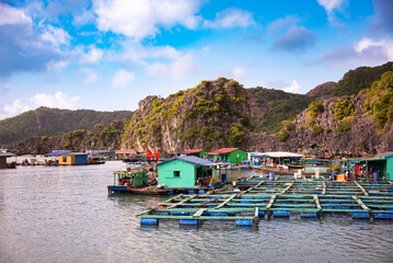 Floating fishing village in sea bay in Vietnam, boats and islands © Maresol