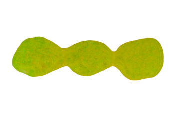 wavy line of green spray paint on white paper isolated on a transparent background