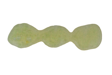 wavy line of green spray paint isolated on a transparent background