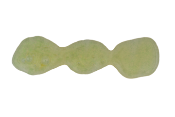 wavy line of green spray paint isolated on a transparent background