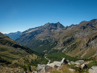 Green valley with grass, forest and river, in the Lys valley, above Staffal and Gressoney la Trinite, in Valle d'Aosta, Italy. Pennine alps