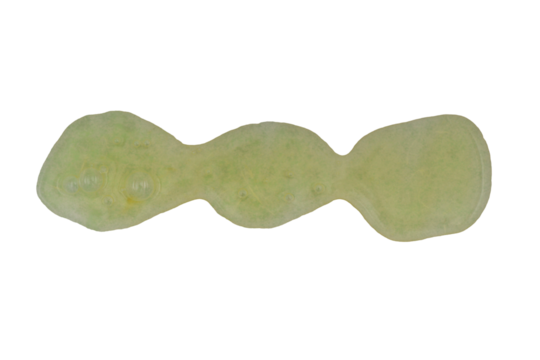 wavy line of green spray paint isolated on a transparent background - Powered by Adobe
