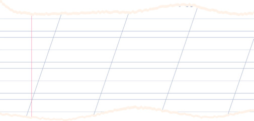 Paper scraps. Torn pieces of paper, with torn edges for notes, realistic torn pieces of blank note pages. Vector illustration isolated