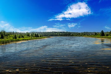 Naklejka premium Birds art ponds trees and Red Deer River at Kerry Wood Natural Centre Red Deer County Alberta Canada
