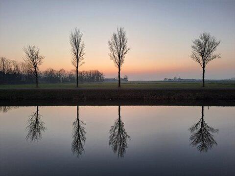 reflection of treeline in Bedum, Netherlands