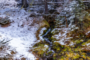 Bow Valley Pkwy Banff National Park Alberta Canada