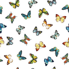 Obraz premium Print