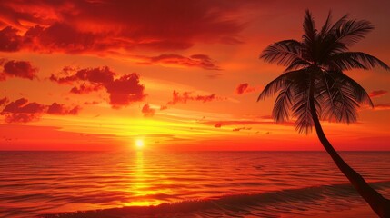 Tropical sunset with palm silhouette