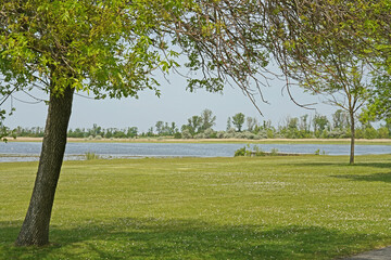 Zicksee im Burgenland