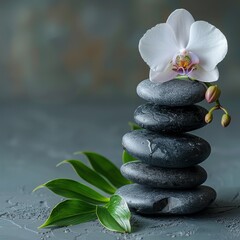 Fototapeta premium A white flower is on top of three black stones