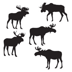 Moose Silhouette Vector Illustration Set