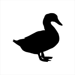 White duck silhouette isolated on white background. Duck icon vector illustration design.
