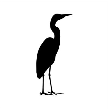 recommend clip art: White egret silhouette isolated on white background. Egret icon vector illustration design.