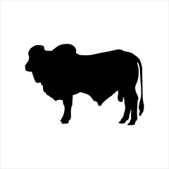 Black qurbani animal silhouette isolated on white background. Qurbani cow or cattle zebu silhouette icon vector illustration design.