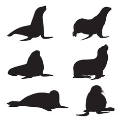 Seal Silhouette Vector Illustration Art Bundle