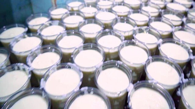 Lassi - Street Food of Lahore, Pakistan.