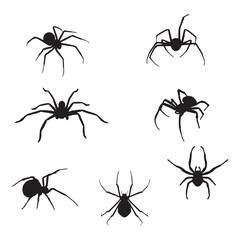 Set of Spider Silhouette Vector Illustration
