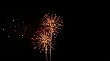 fireworks in the night of sky