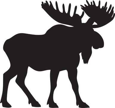 recommend clip art: Moose Cut File, SVG file for Cricut and Silhouette , EPS , Vector, DXF , JPEG , Logo , T Shirt