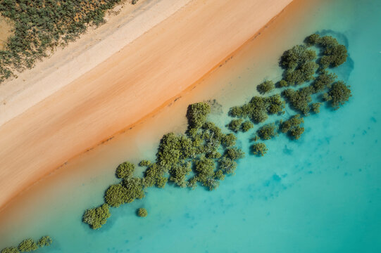 Aerial view of Simpson Beach with mangrove, Minyirr, Western Australia, Australia.