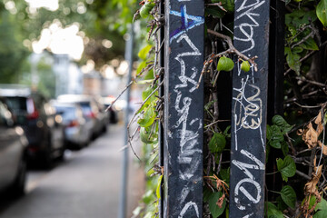 Urban scene of graffiti on black metal poles - with green and wilting leaves - blurred background...