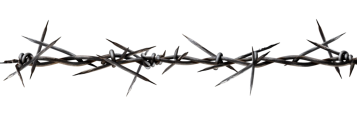 Close-up of barbed wire against transparent background