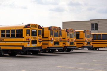 Yellow school buses lined up in a parking lot - SCHOOL BUS signage - safety warnings and signals -...