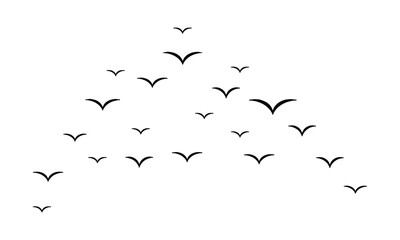 Flying Birds Vector And Illustration. 