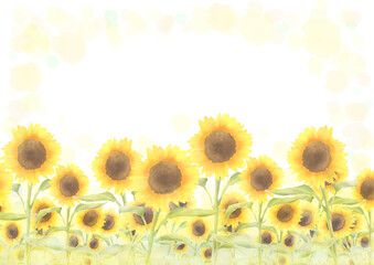 background with sunflower