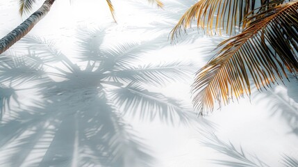 the subtle shadows of palm trees cast on a creamy white surface with minimalistic, modern design, clean lines, and ambient lighting for an ultra-realistic effect.