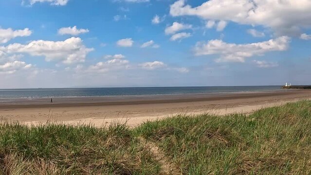 Green grass on the sand dunes of Ayr Beach in Ayr town on the southwest coast of Scotland, UK